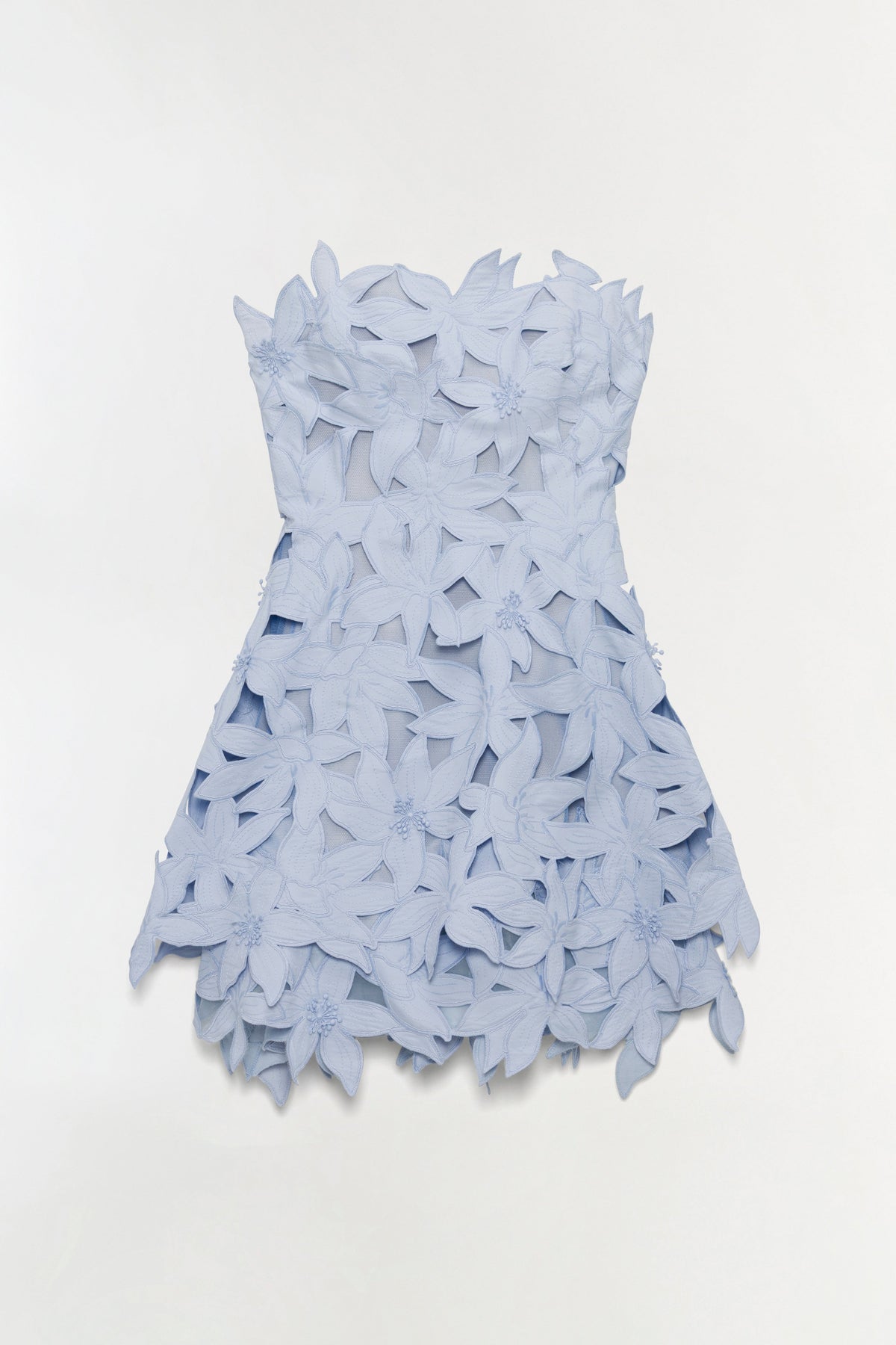 Miri Embroidered Cotton Bustier Mini Dress