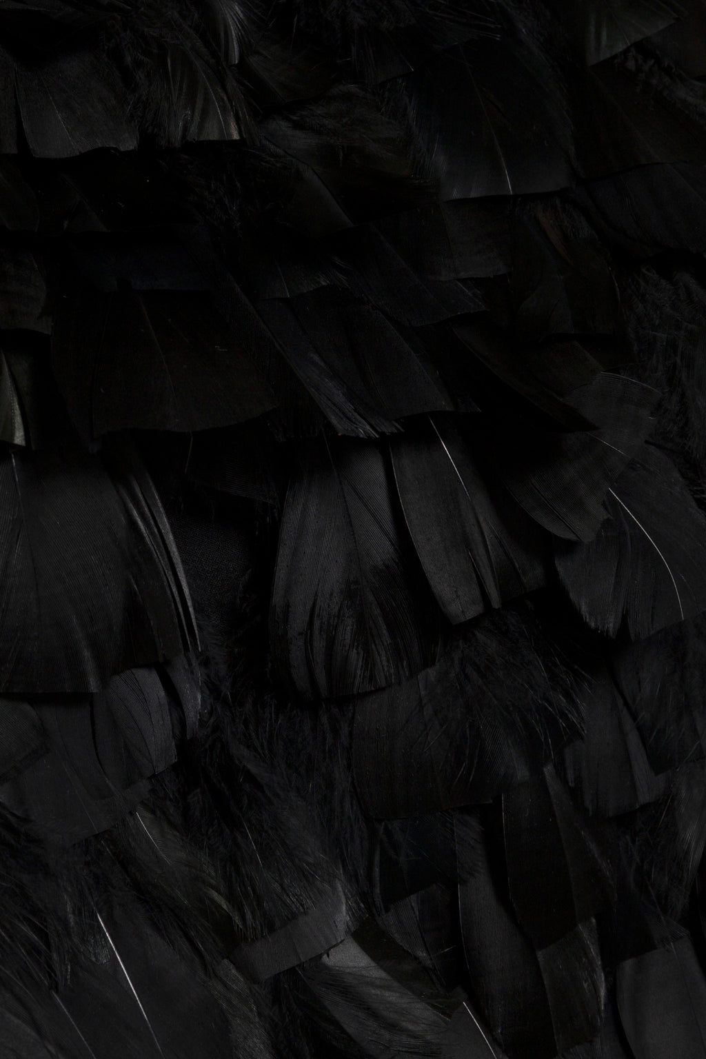 Karlene Feather Mini Dress