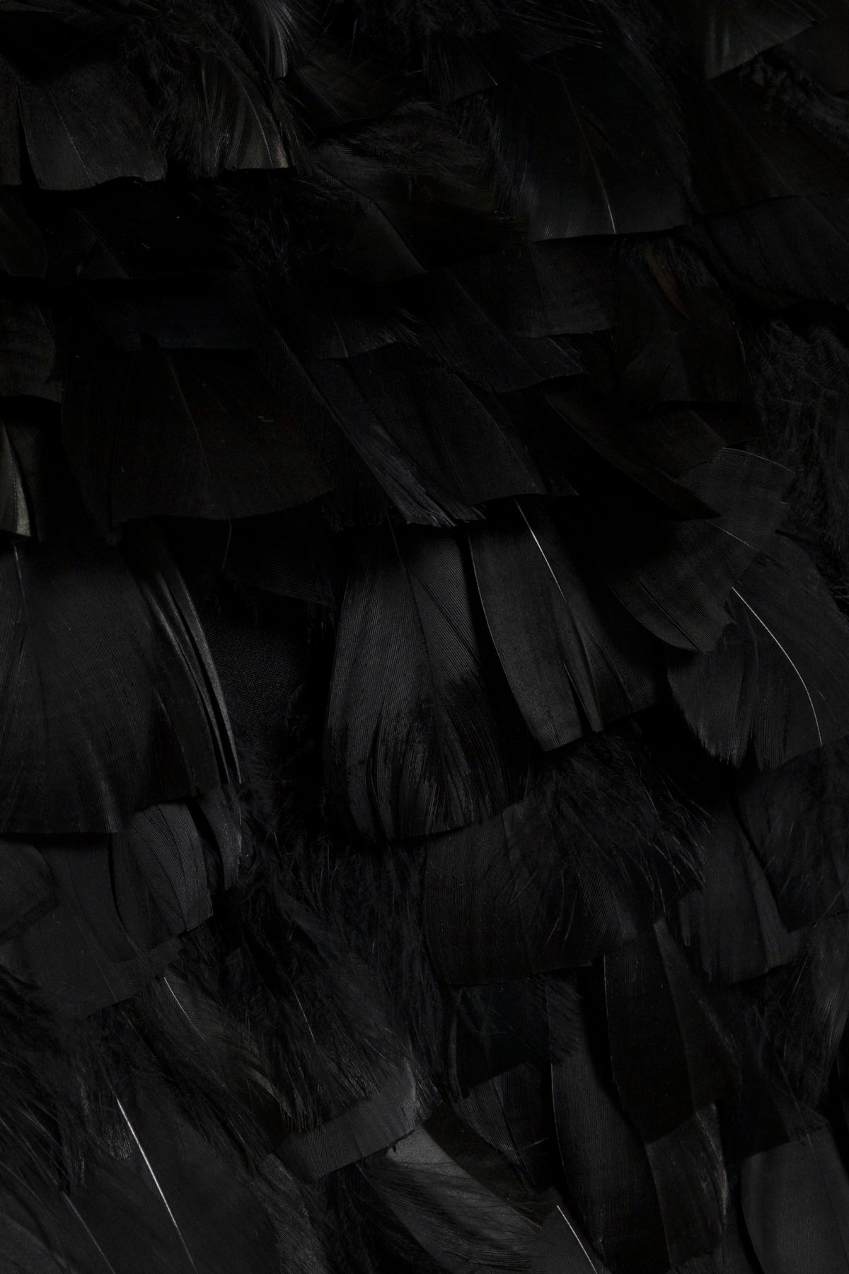 Karlene Feather Mini Dress